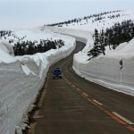 Hokkaido – keine Kürbisse dafür viel Schnee