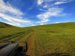 alles schön grün (Mongolei)