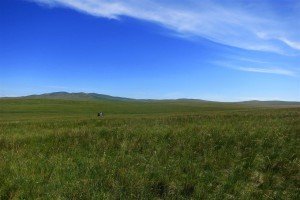 mongolische Steppe (Mongolei)