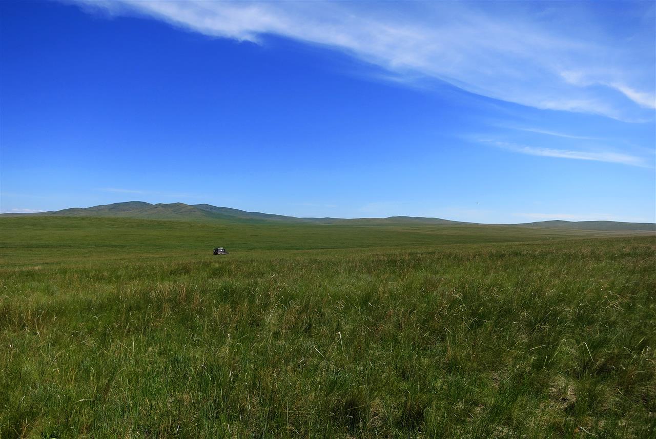mongolische Steppe (Mongolei)