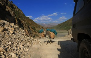 beladener Esel (Tadschikistan)