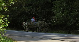 rumänischer Pferdewagen (Rumänien)